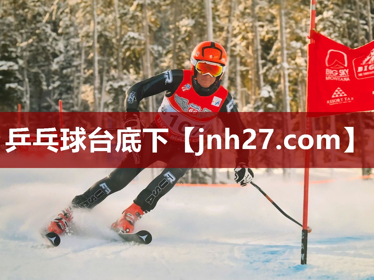 乒乓球台底下