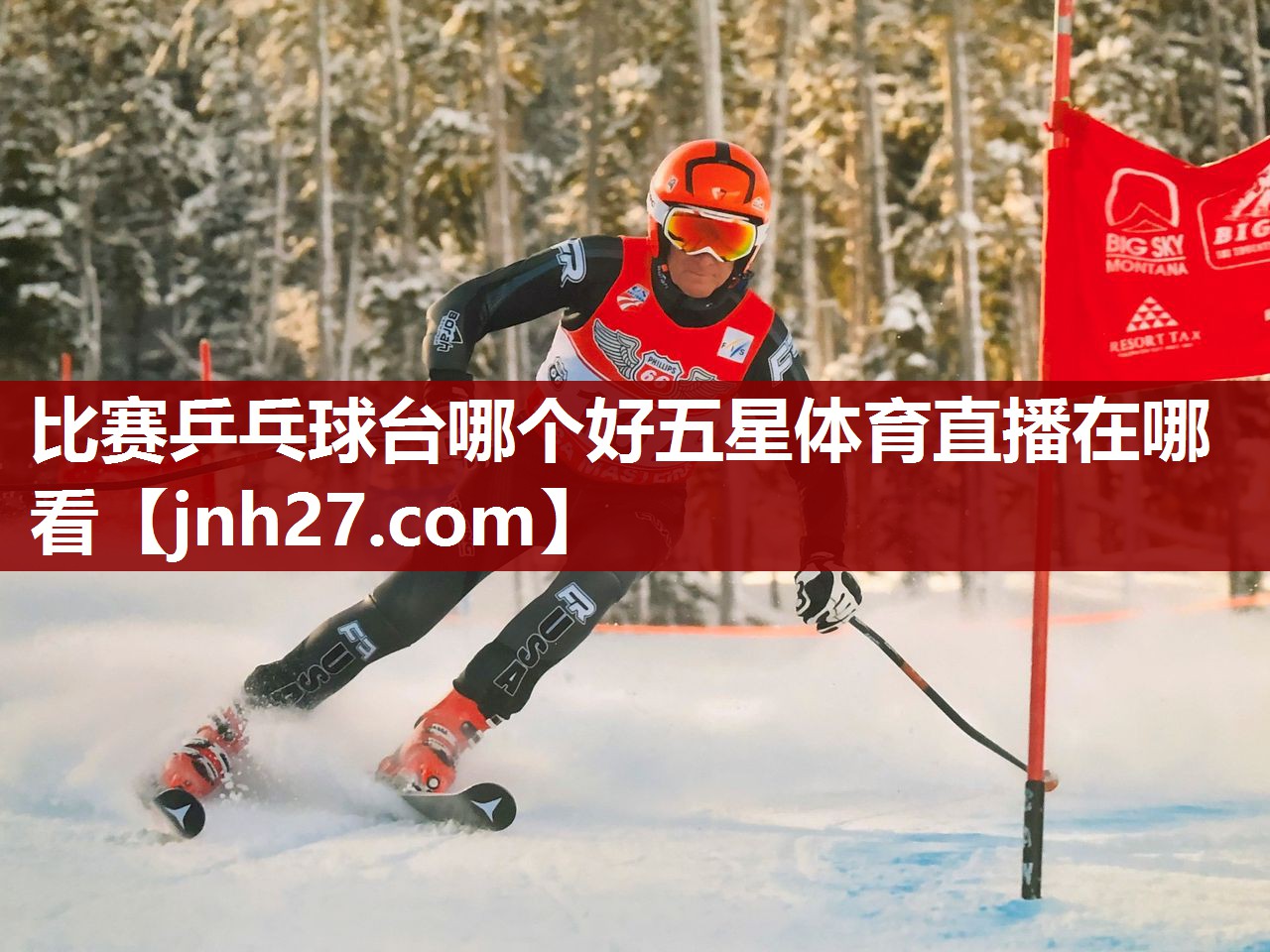 比赛乒乓球台哪个好五星体育直播在哪看