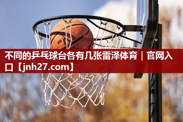 不同的乒乓球台各有几张雷泽体育｜官网入口