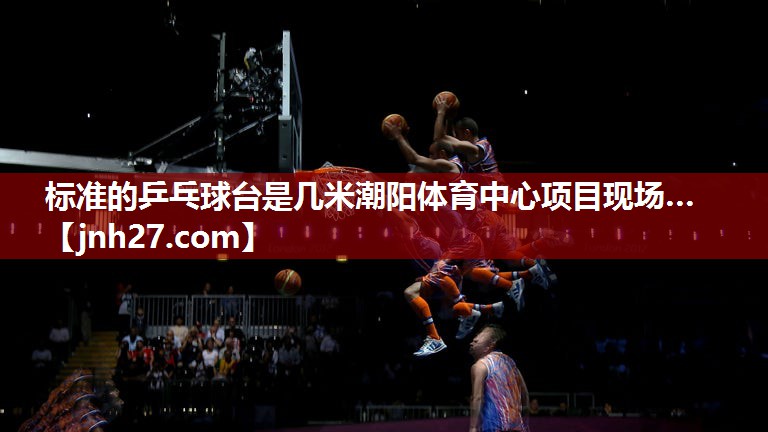标准的乒乓球台是几米潮阳体育中心项目现场…