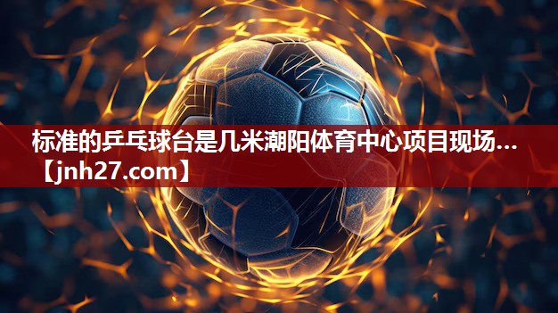 标准的乒乓球台是几米潮阳体育中心项目现场…