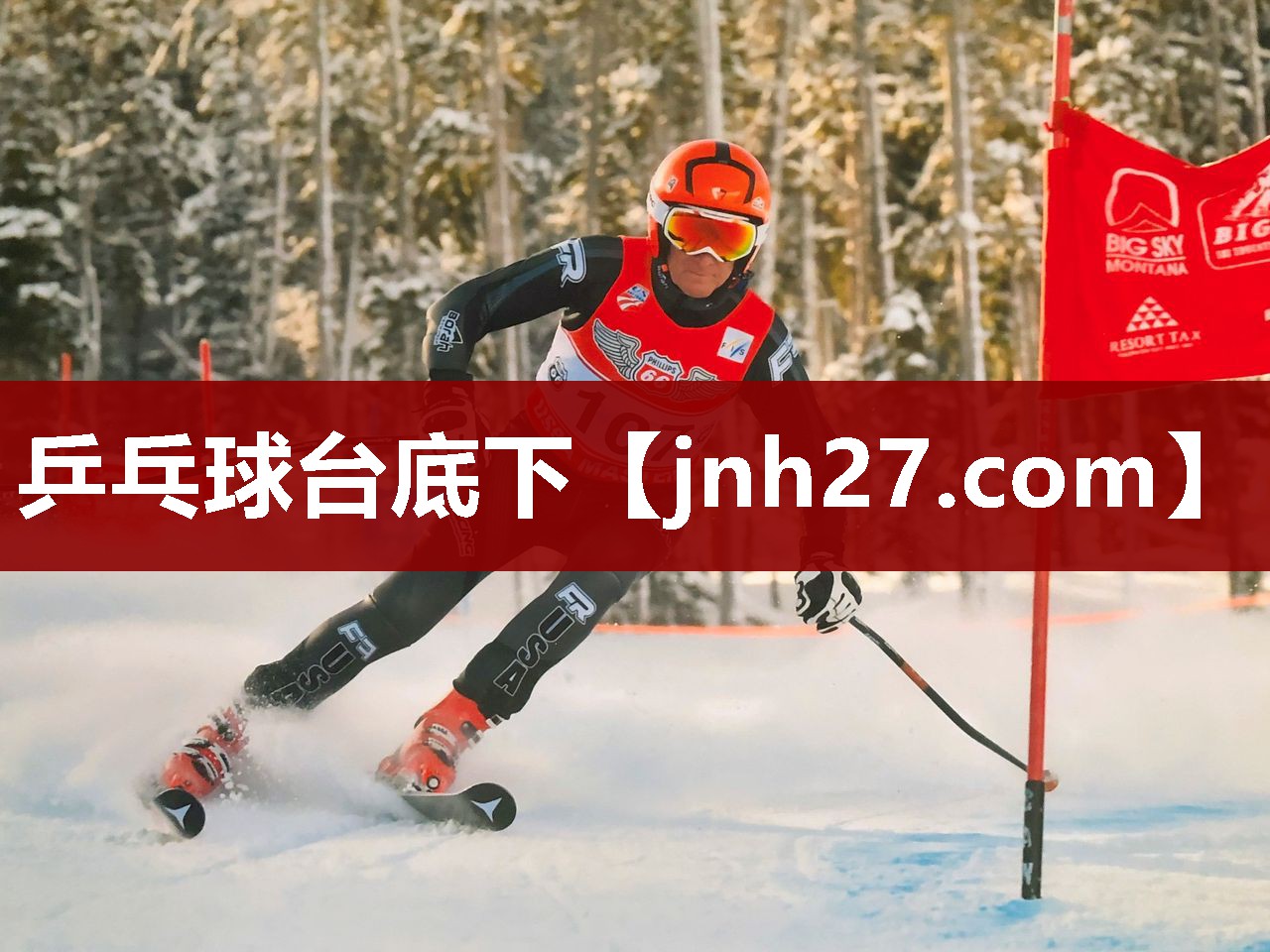 乒乓球台底下
